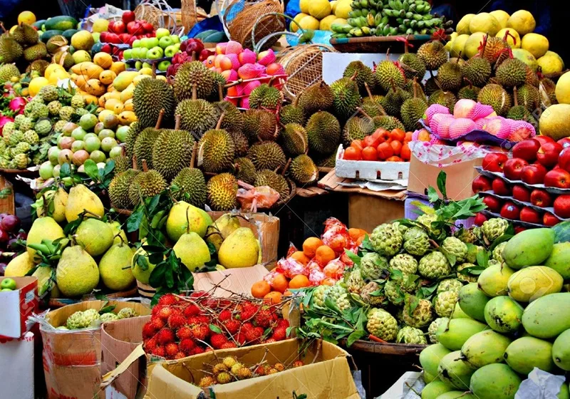 Đa dạng các loại trái cây nhiệt đới như sầu riêng, măng cụt, chôm chôm được trưng bày tại lễ hội.