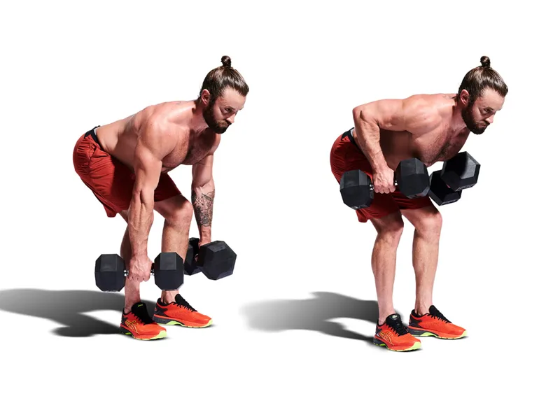 Dumbbell bent-over row hỗ trợ phát triển cơ lưng giữa và cơ xô.