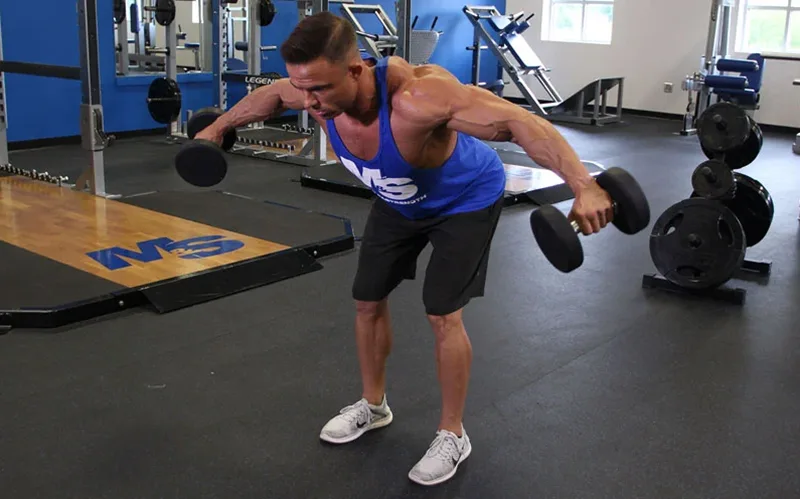 Dumbbell reverse fly tập trung vào cơ lưng trên và vai sau.